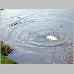 C.Lhota 3.4.2008 -13.JPG